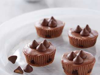 Mini Chocolate Cheesecakes With Peanut Butter Filled DelightFull