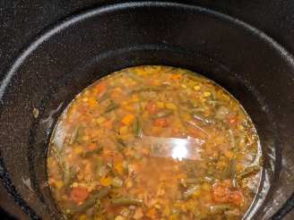 Robust Turkey Vegetable Soup