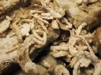 Savory Chops Supreme