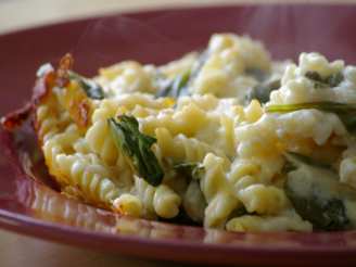 Light Macaroni and Cheese with Spinach