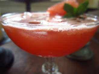 Blood Orange Cocktail