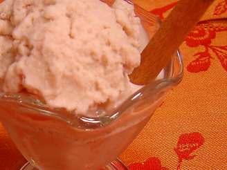 Cinnamon Ice Cream ("Diet Version") for electric ice