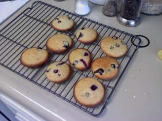 Fresh Blueberry Drop Cookies