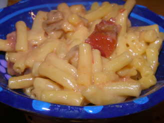 My Favorite Macaroni  and Cheese