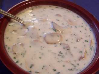 Crock Pot Cream of Mushroom Soup