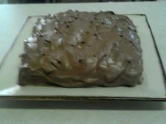 Chocolate Snack Cake