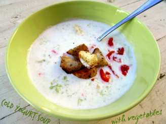 Cold Yogurt Soup With Vegetables