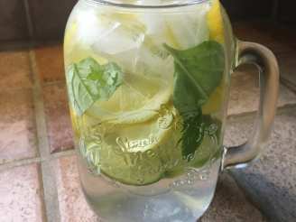 Basil Lemon Lime Spa Water