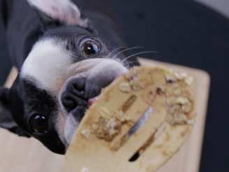 No-Bake Peanut Butter Dog Treats