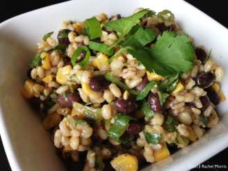 Southwest Black Bean, Corn and Rice Salad