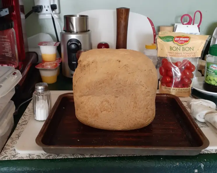 fodmap bread machine recipe