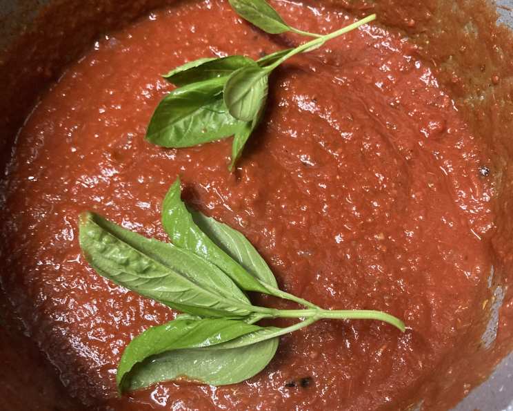 Blender Spaghetti Sauce {EASY AND SO QUICK!} - Mama Loves Food