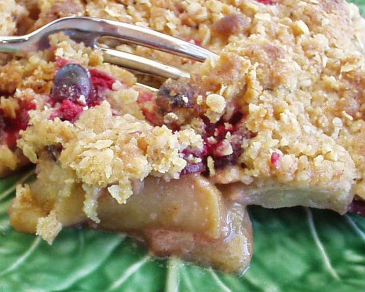 Cranberry Apple Crisp - Kitchen Confidante®