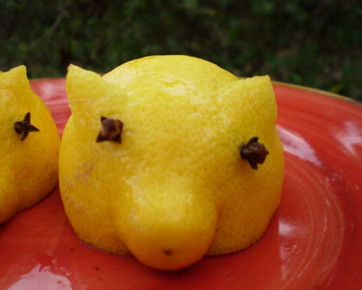 Lemon Pigs Recipe