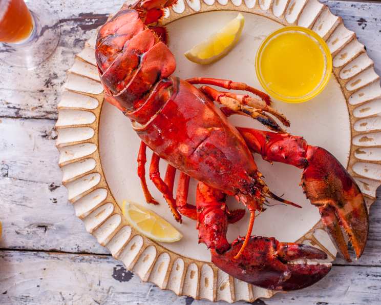 Grilled Lobster Recipe 
