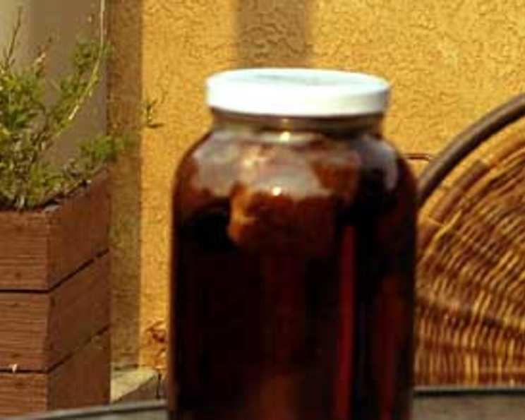 African Red Bush (Rooibos) Sun Tea Recipe - Food Blog Alliance