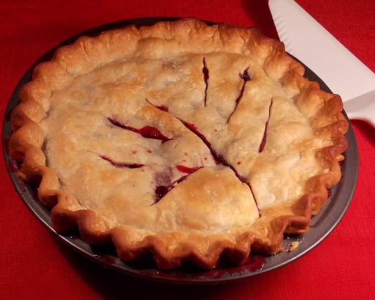 photo by Lavender Lynn