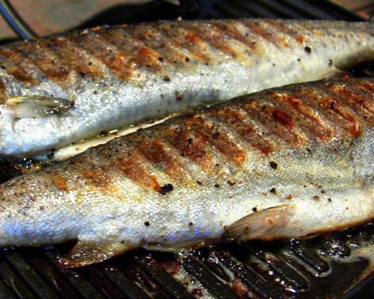 How To Cook Trout On The Grill Food Com