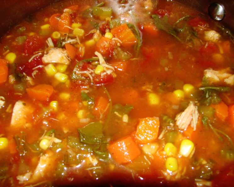 Mouthful of Spice Chicken Vegetable Soup Recipe - Food.com