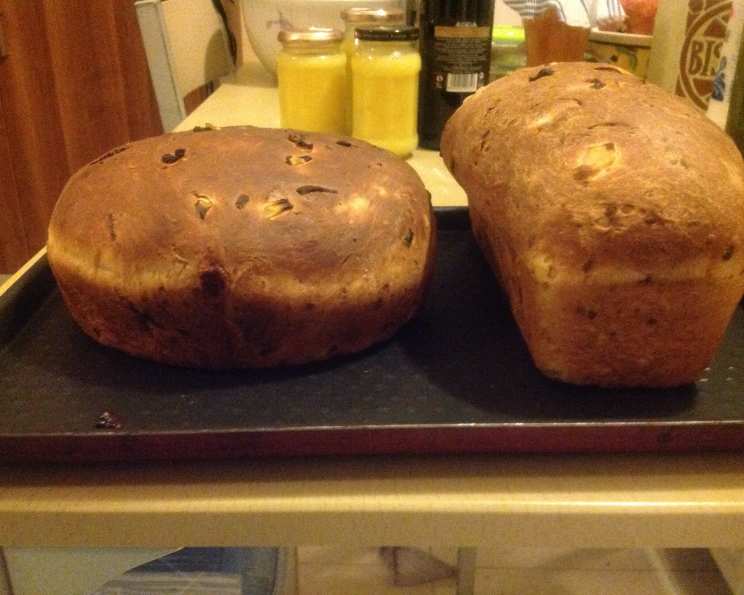 photo by Pauline Quest-Sarker