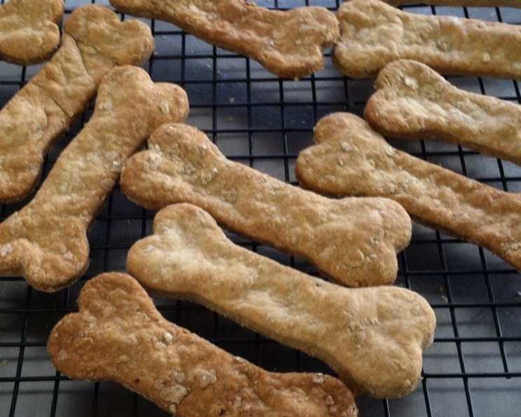 Keto dog treat recipe sales