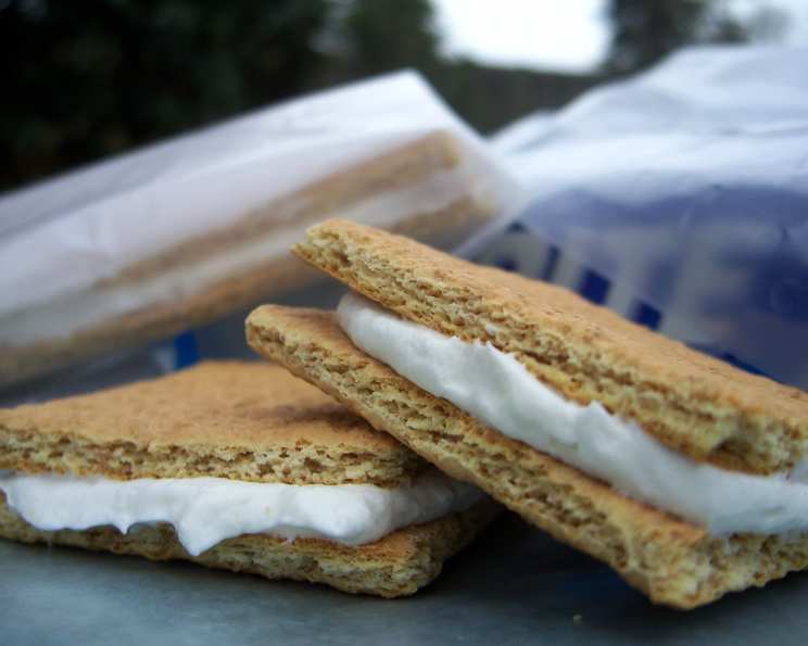 Low Fat Ice Cream Sandwiches Recipe - Chef's Resource Recipes