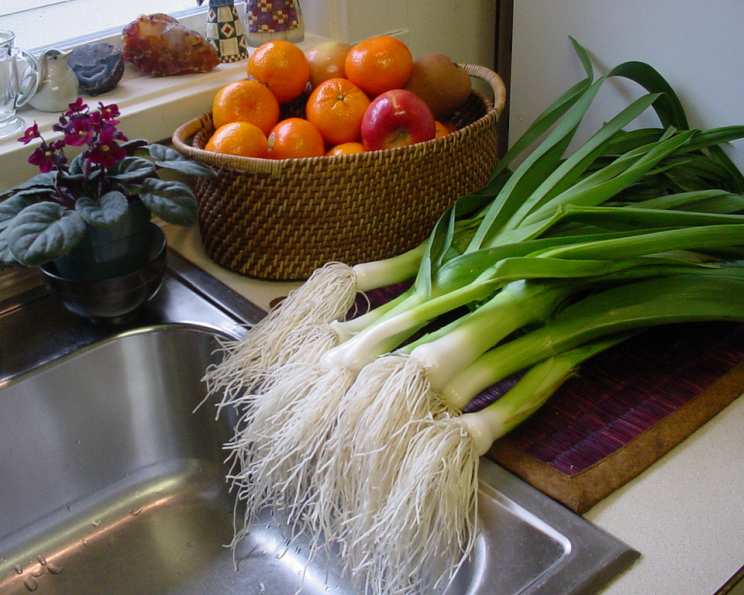 photo by bonitabanana