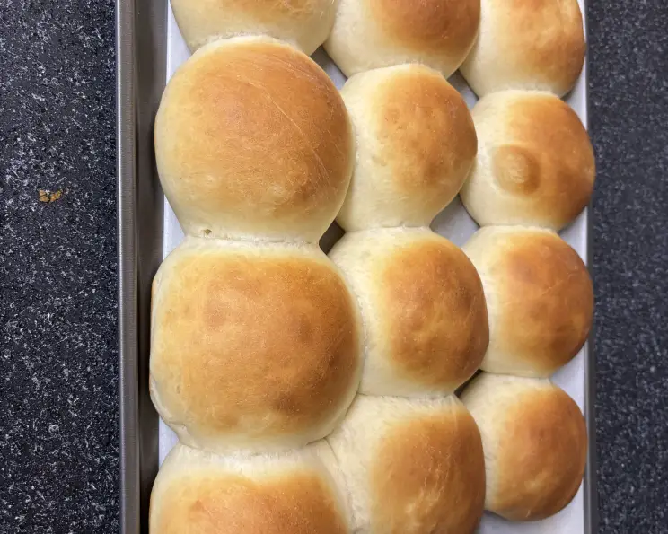 Powdered Milk Dinner Rolls Recipe - Food.com