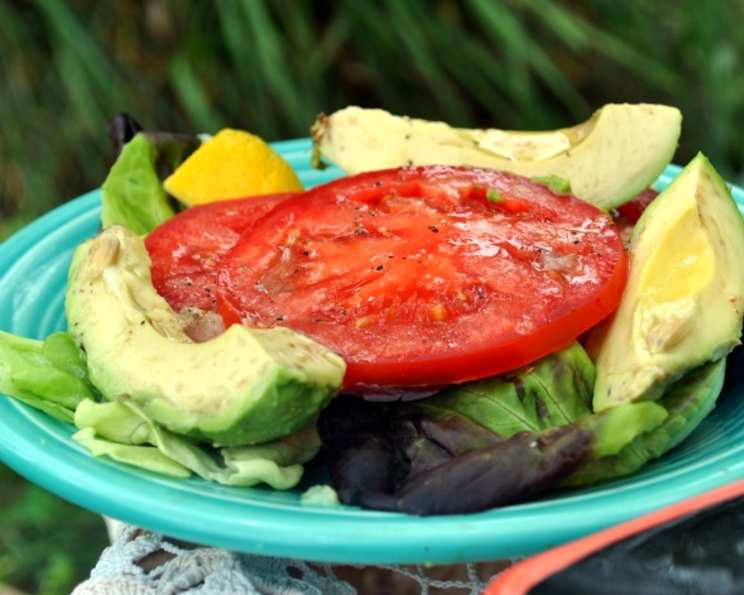 photo by Andi Longmeadow Farm