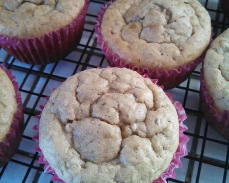 photo by kittycatmom