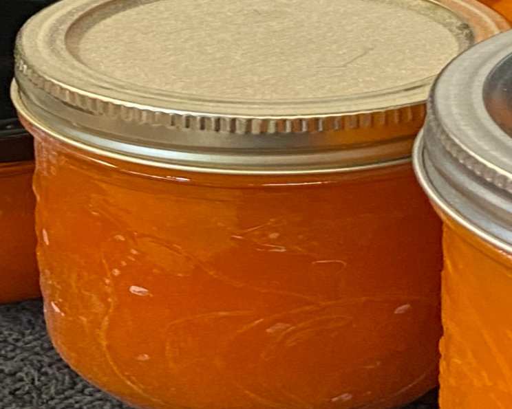 Apricot Jelly (Canning Recipe) - The Flour Handprint