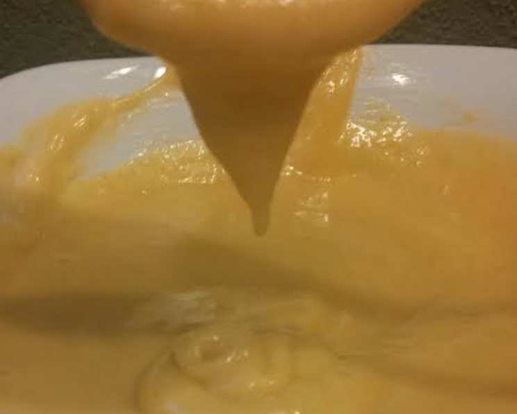 Copy Cat Wendy's Honey Mustard Dipping Sauce Recipe