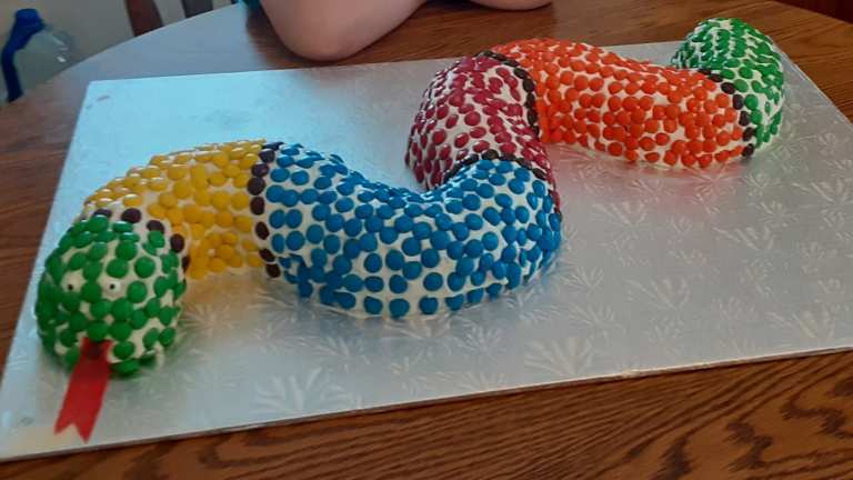 Magic Silicone Snake Cake Mold