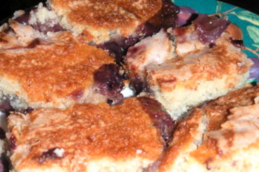 BLUEBERRY PUDDING CAKE - The Southern Lady Cooks