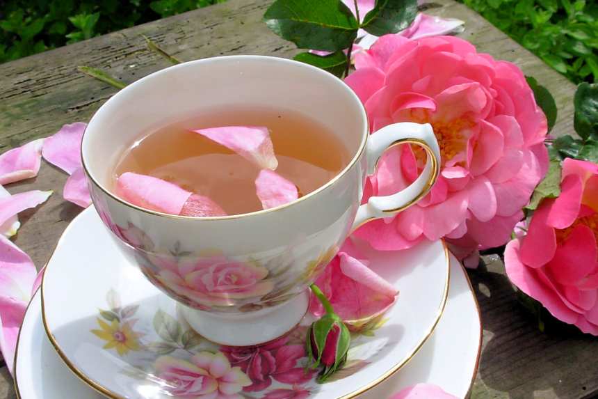 photo by French Tart