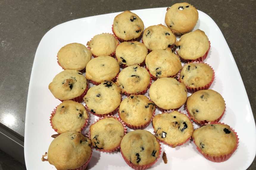 Blueberry (Or Chocolate Chip) Mini Muffins Recipe 