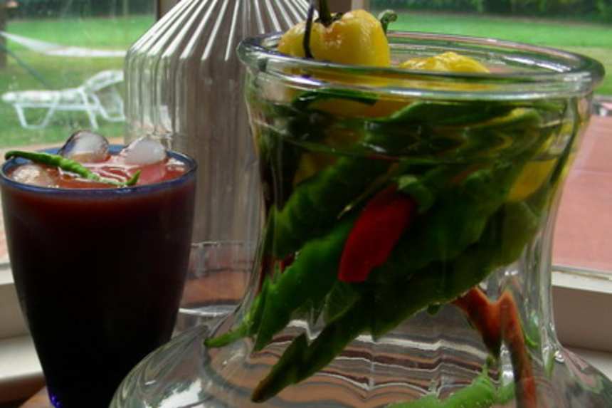 photo by Andi Longmeadow Farm