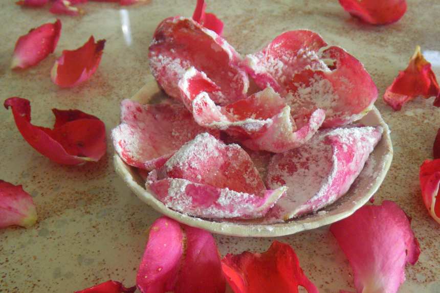 Edible rose petals: Recipes to enjoy your roses - The English Garden
