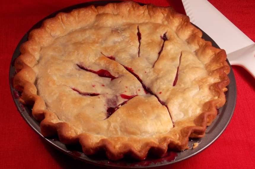 photo by Lavender Lynn