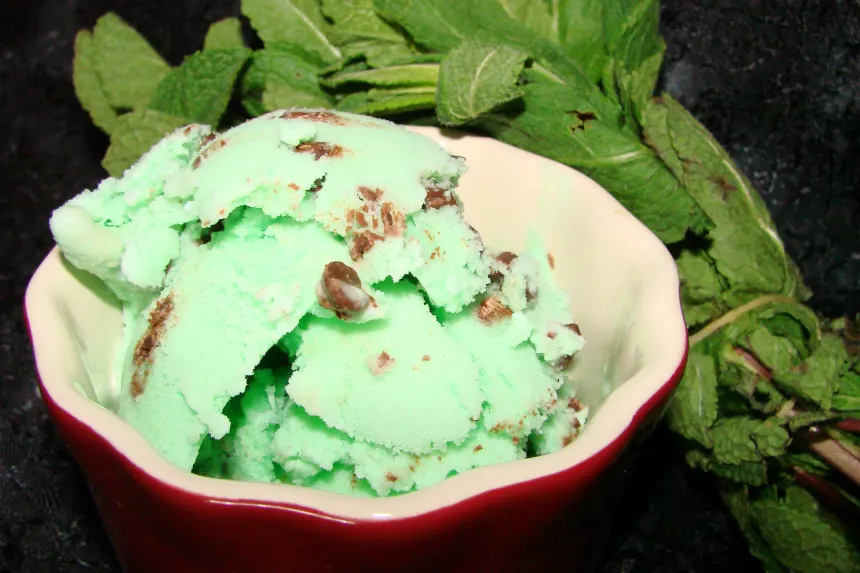 Homemade Mint Chocolate Chip Ice Cream