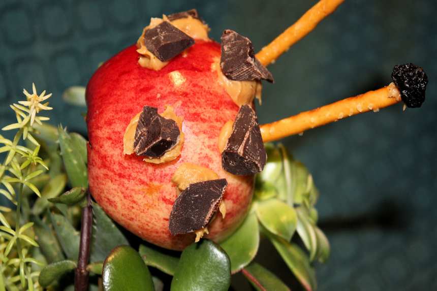 Ladybug Apples Recipe - Food.com