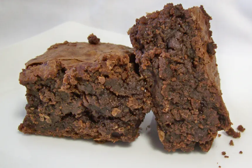 The Best Fudgy Chocolate Brownies Ever! (Double Fudge Cocoa Brownies) - The  Flavor Bender