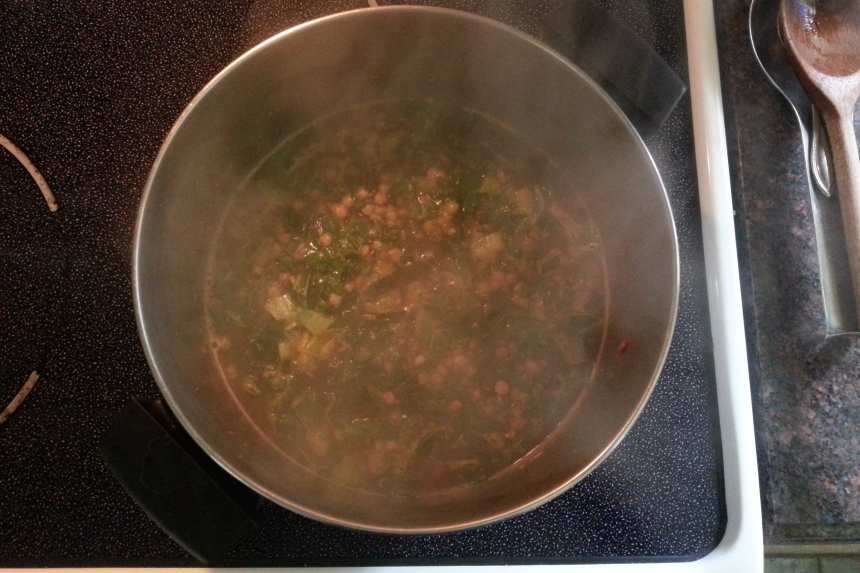 Attempting to Duplicate Progresso Lentil Soup Recipe - Food.com