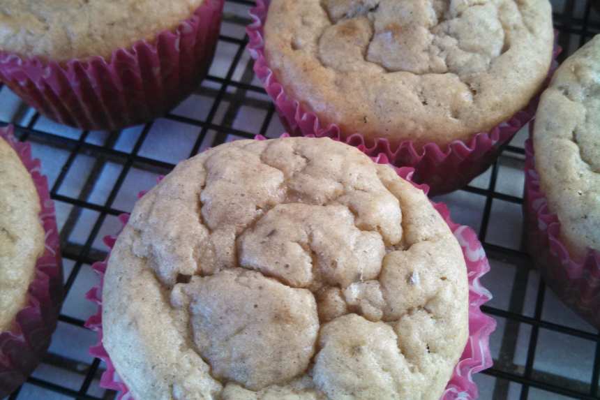 photo by kittycatmom