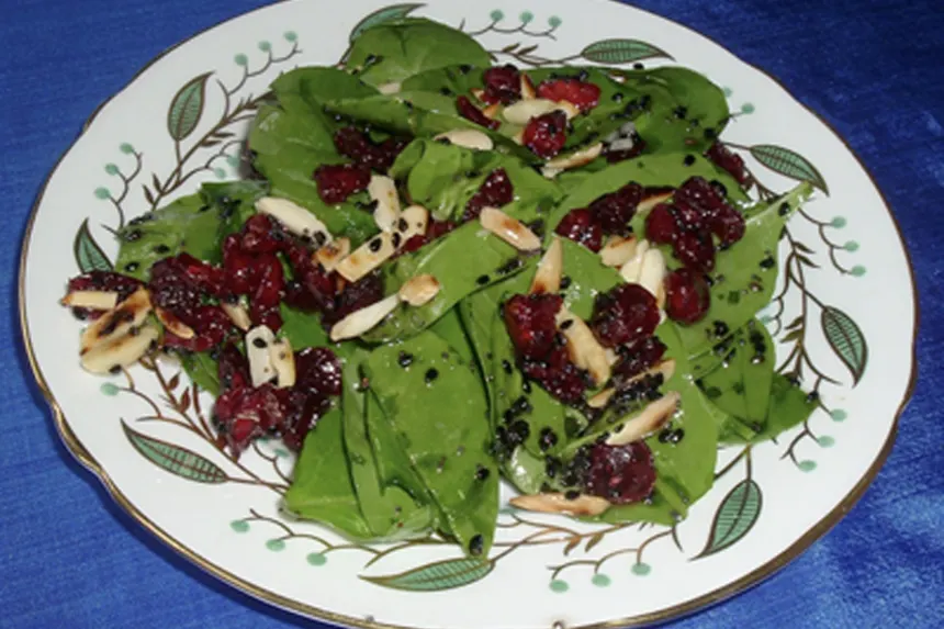 Cranberry Spinach Salad Recipe - Food.com