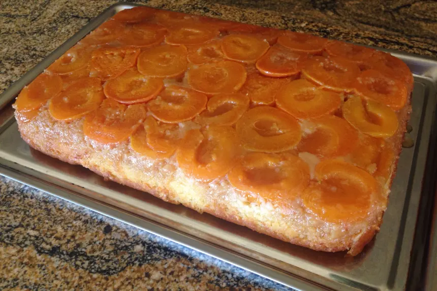 Gluten-Free Almond-Apricot Food Processor Cake Recipe | Epicurious