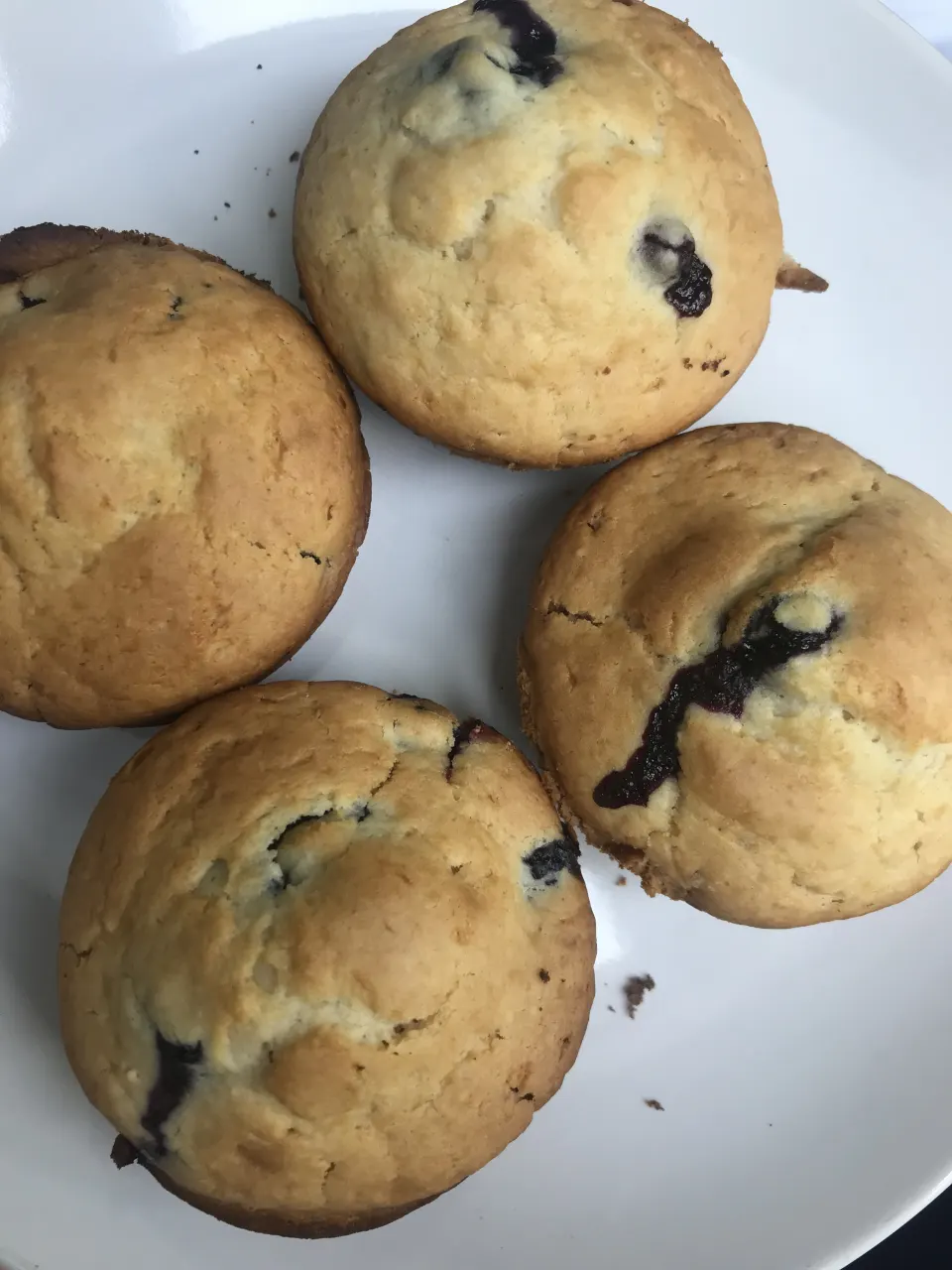 photo by leahmariegalus