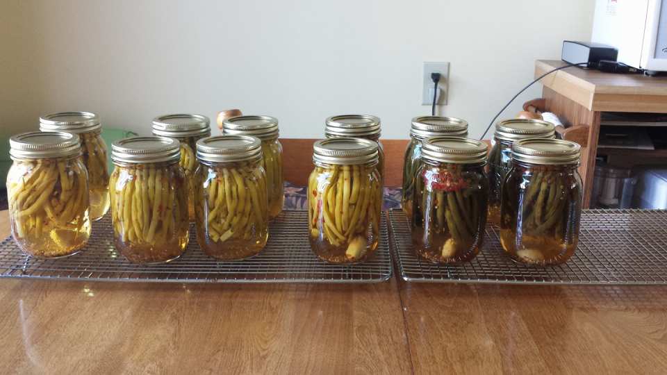 photo by jillrickmacdonald