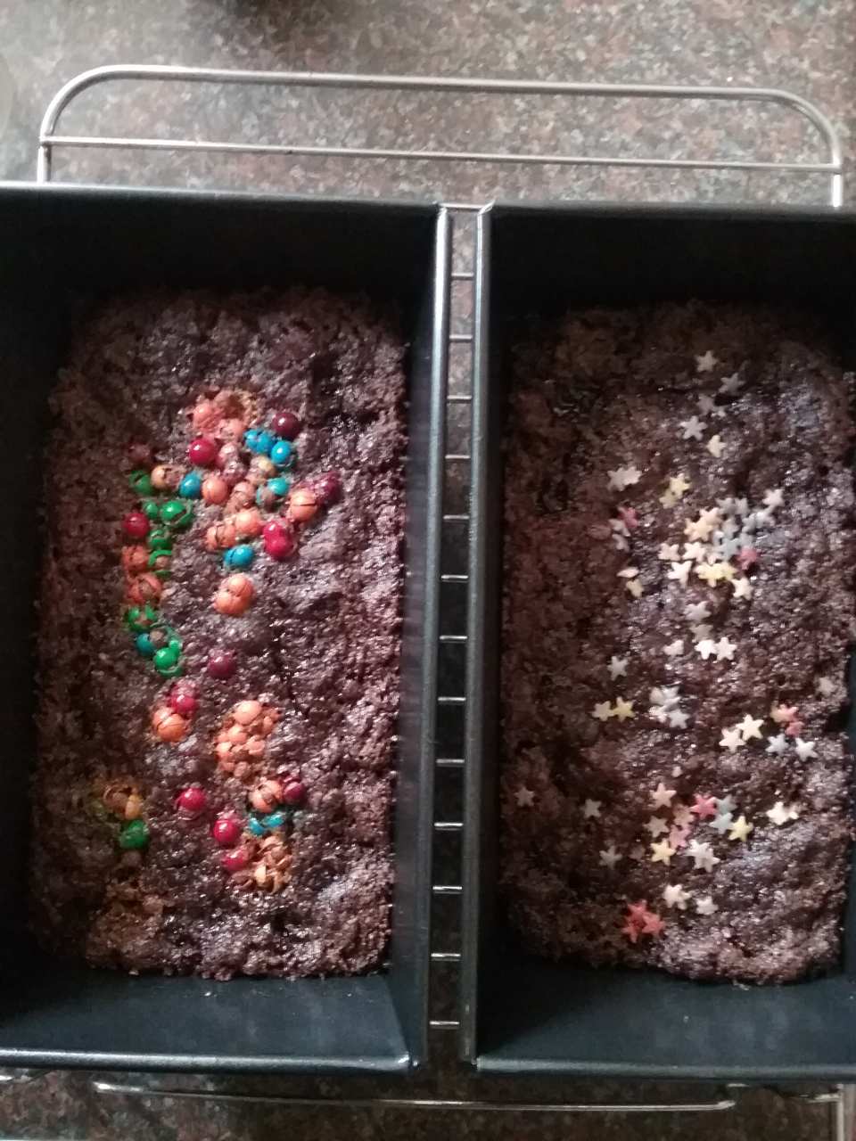 photo by catteman890