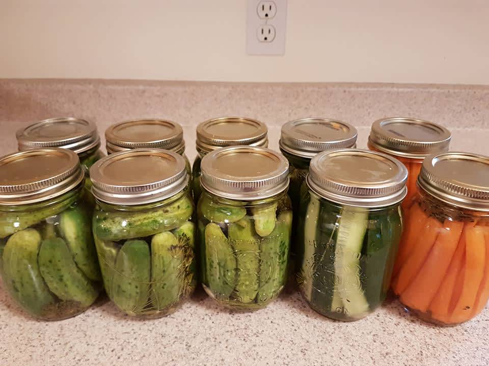 How to Make Dill Pickles | Blue Ribbon Dill Pickles Recipe - Food.com